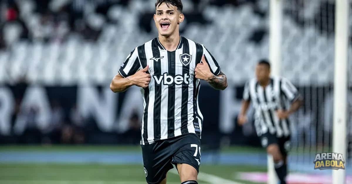 Golaço de Lucas Emanuel em Botafogo x Santos agita torcida no Brasileirão