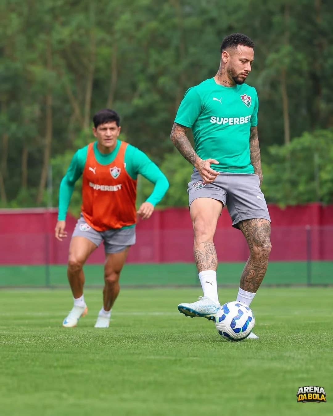 Com Marcão no comando, Fluminense recebe o líder Palmeiras no Maracanã: Onde assistir e prováveis times | Brasileirão 2026