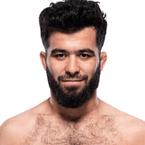 Muin Gafurov