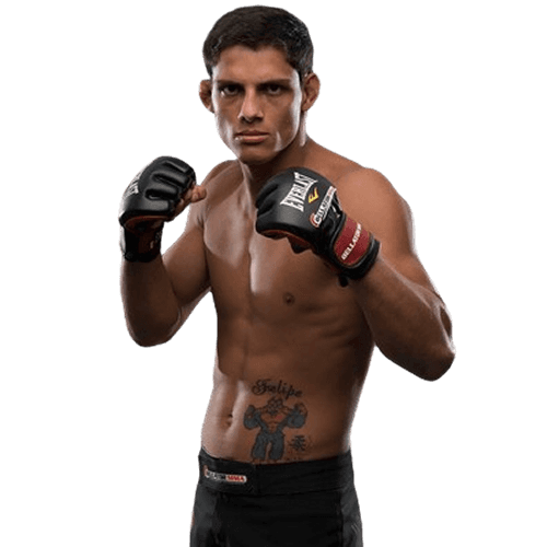 Fabrício Guerreiro