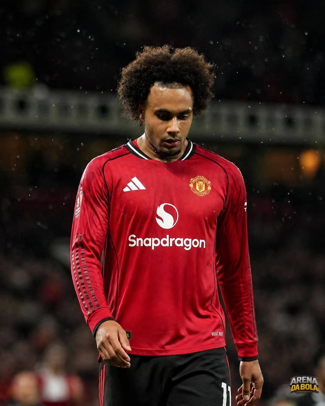 Everton busca Joshua Zirkzee após impasse com Folarin Balogun