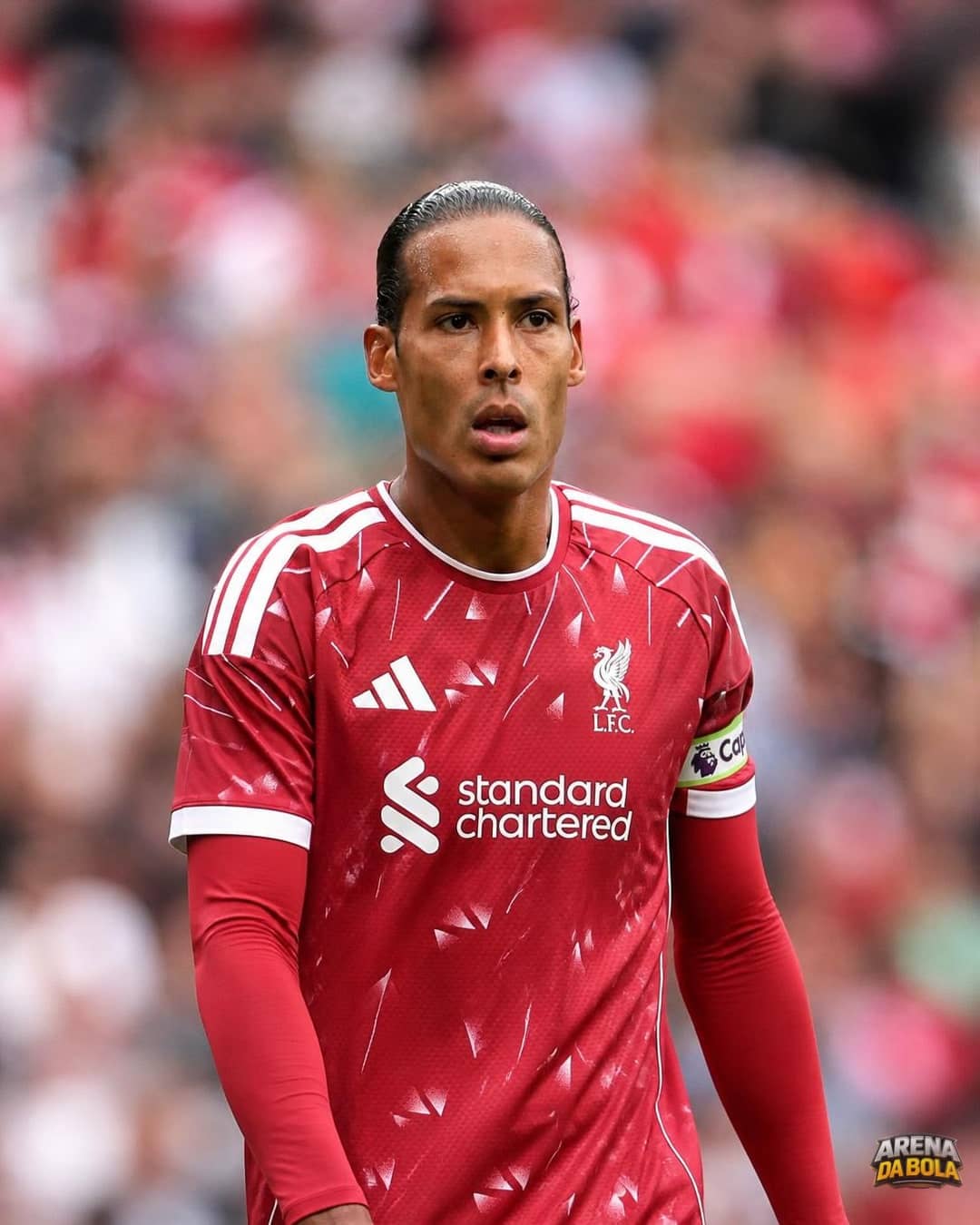 Liverpool bate Ipswich por 2-0, e Van Dijk celebra decisão por Gakpo