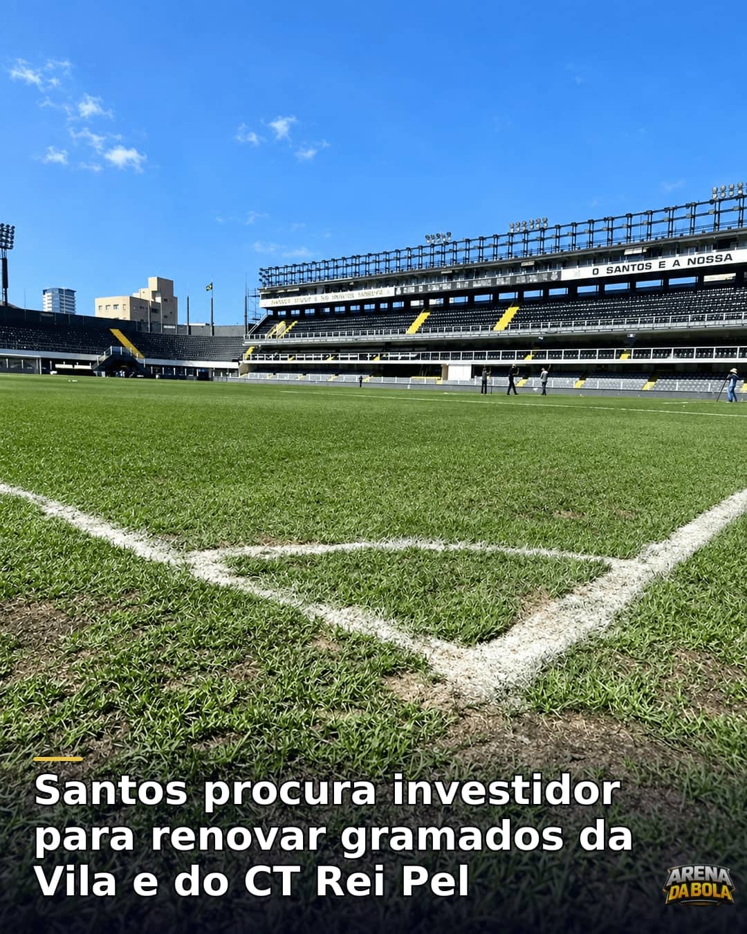 Santos procura investidor para renovar gramados da Vila e do CT Rei Pel