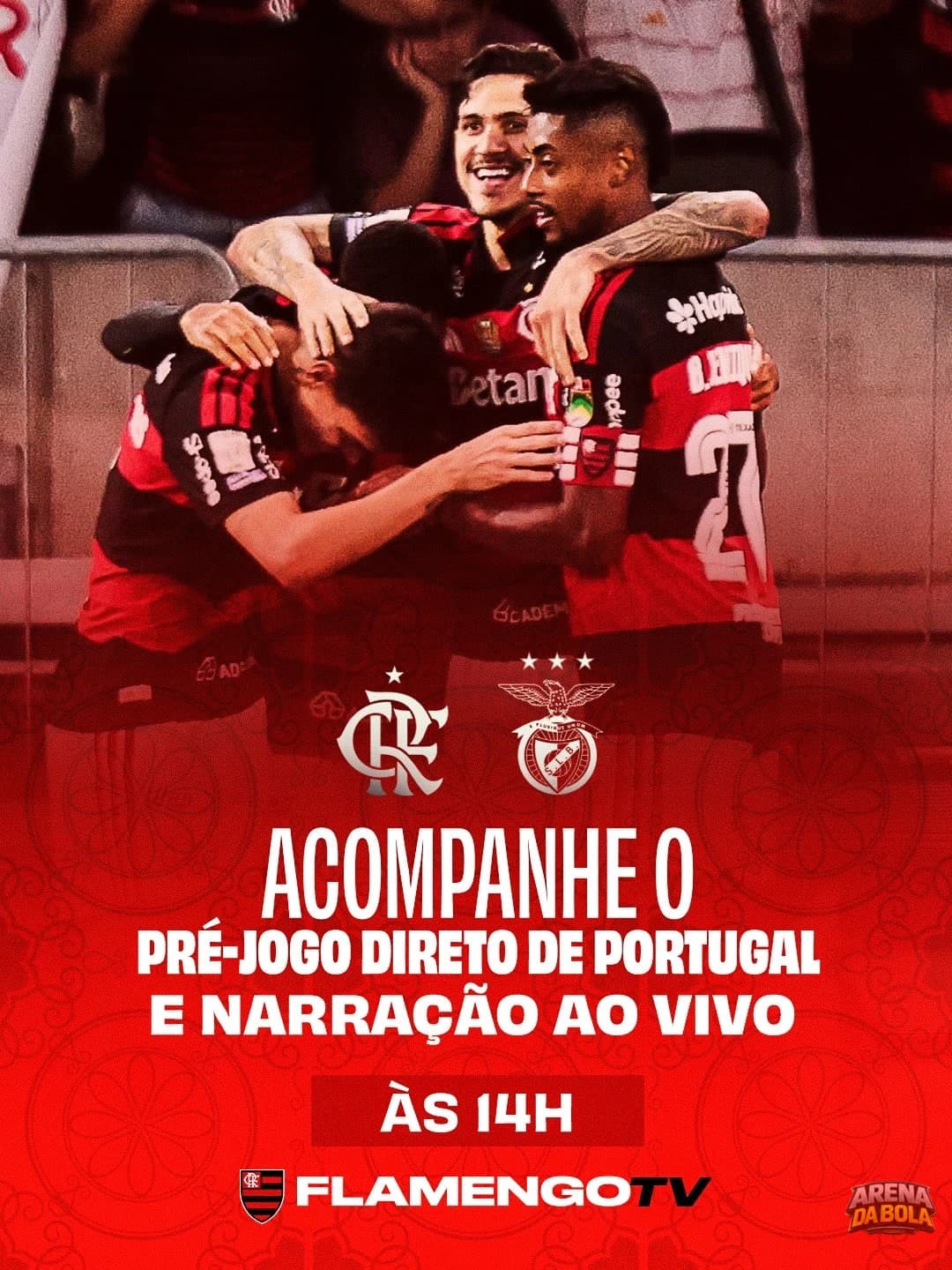 Flamengo enfrenta o Benfica em amistoso que vale troféu — foto 2