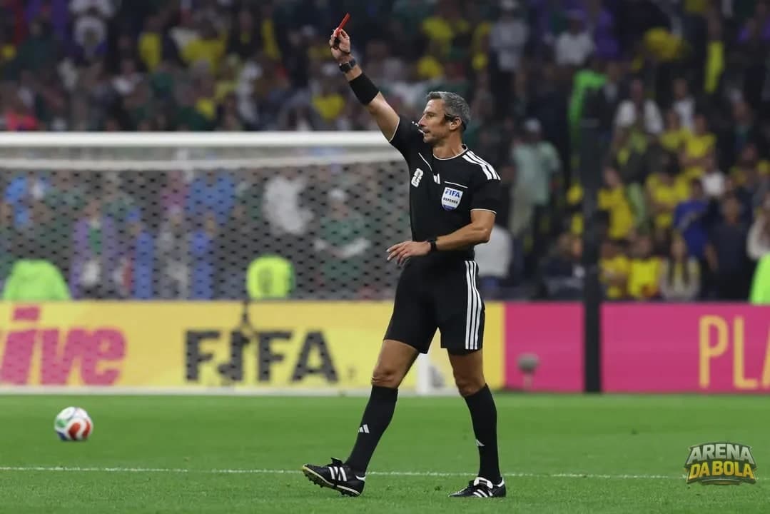 Slavko Vincic apita a final da Copa do Mundo entre Espanha e Argentina — foto 2