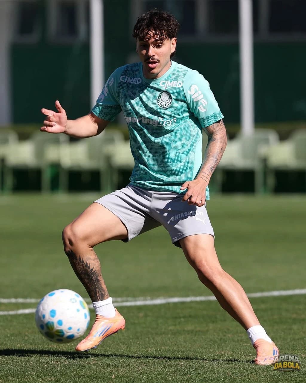 Palmeiras se prepara para duelo contra o Coritiba no Brasileirão — foto 2