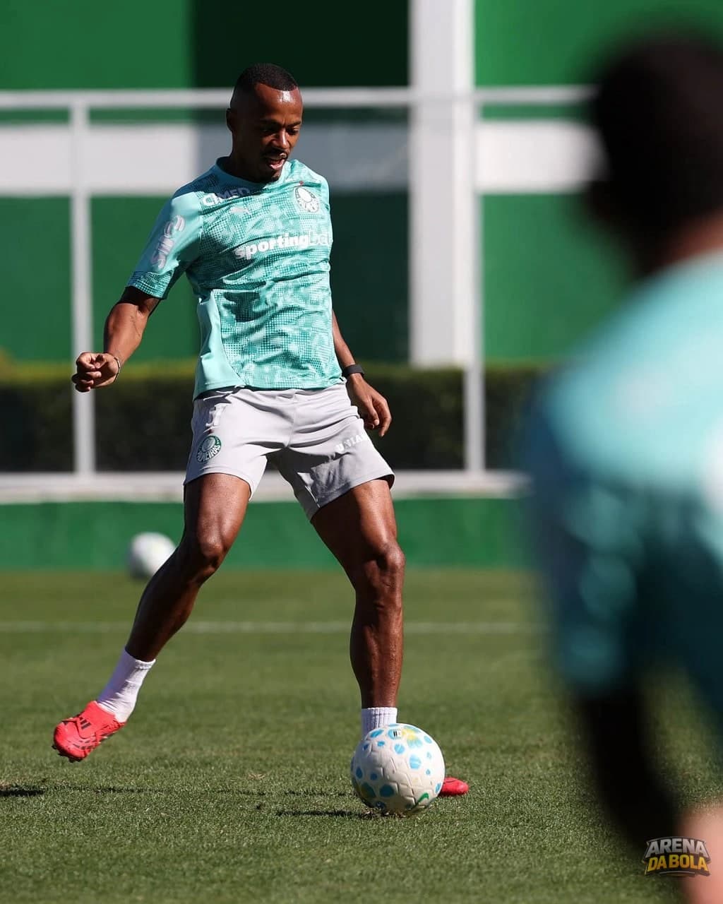 Palmeiras se prepara para duelo contra o Coritiba no Brasileirão — foto 3