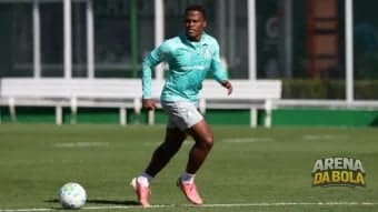 Palmeiras se prepara para duelo contra o Coritiba no Brasileirão