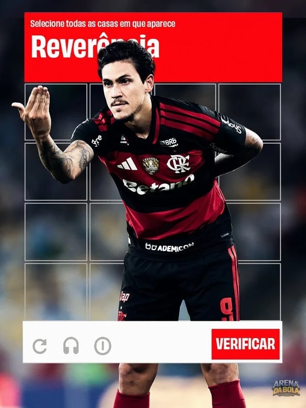 Flamengo mostra confiança em vitória fácil