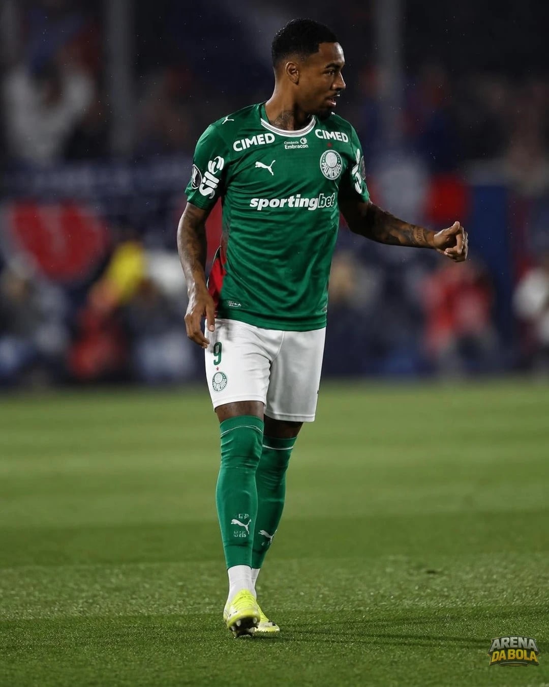 Abel Ferreira comenta interesse do Manchester City em Allan