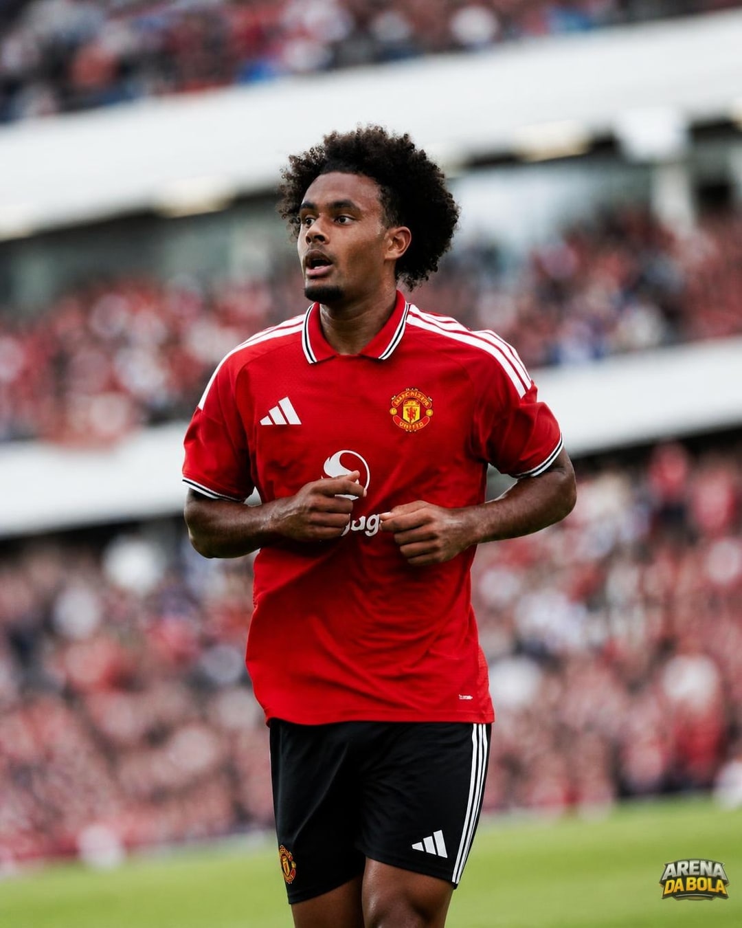 Fiorentina avança por Joshua Zirkzee e envia oferta ao Manchester United