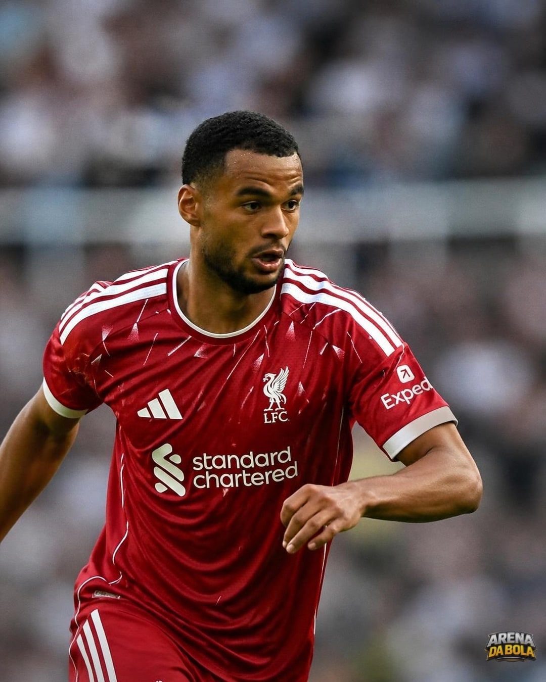 Liverpool mantém Cody Gakpo após rejeitar £80m do Man City