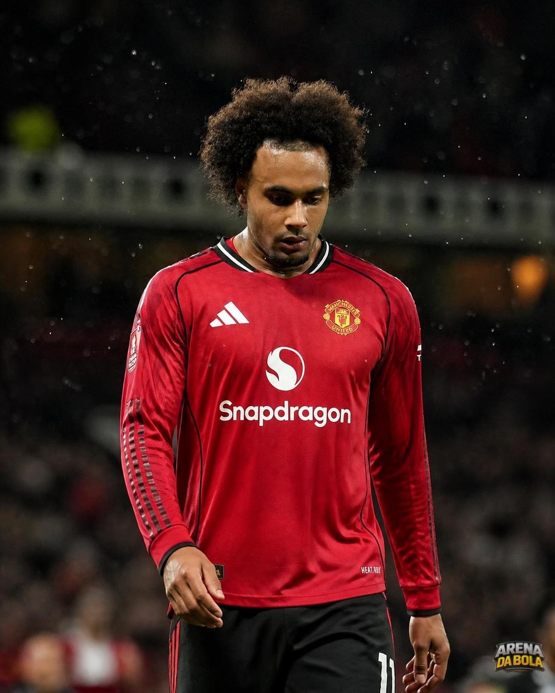 Everton busca Joshua Zirkzee após impasse com Folarin Balogun