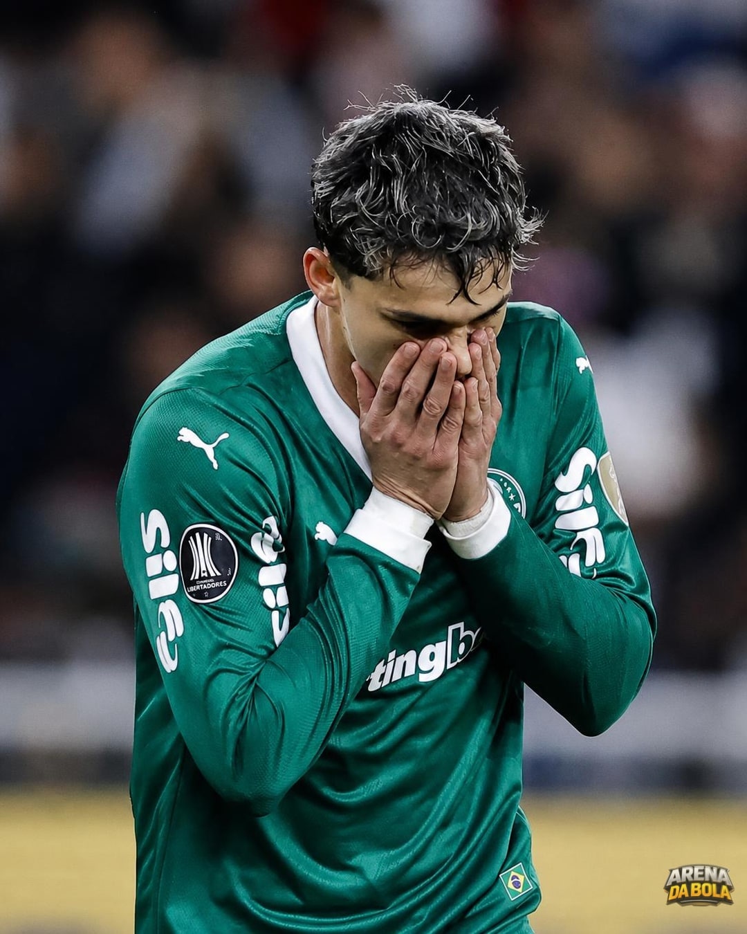 Palmeiras reencontra LDU após virada histórica na Libertadores