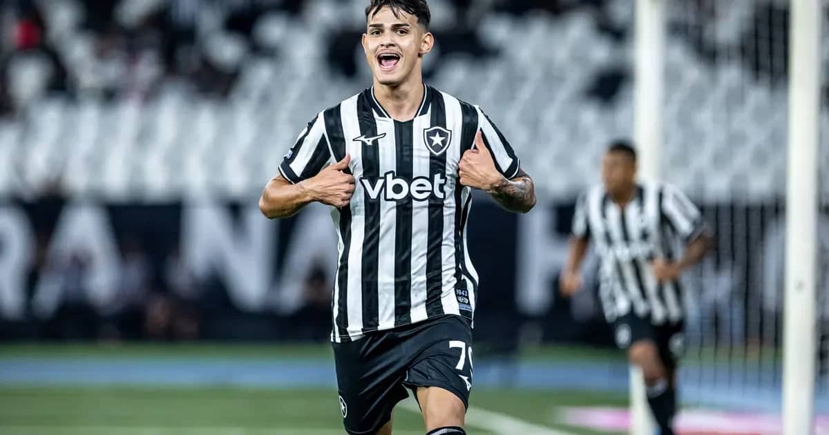 Golaço de Lucas Emanuel em Botafogo x Santos agita torcida no Brasileirão