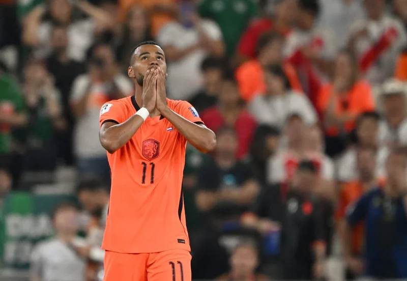 Gakpo emociona ao marcar gol na 🇳🇱 Holanda, mas time é eliminado por 🇲🇦 Marrocos